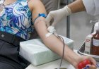 MT Hemocentro Anuncia Calendário de Coletas de Sangue para Agosto em Diversas Cidades