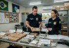 Casal é Detido em Operação Policial por Tráfico de Drogas em Alta Floresta