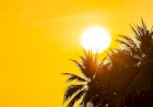 Nova Xavantina Registra 42,2°C e se Torna a Segunda Cidade Mais Quente do Brasil