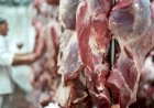 Porto de Chancay no Peru: Nova Rota Logística para Carne de Mato Grosso