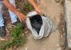 Homem é preso em Guarantã do Norte por tentativa de furto em escolas estaduais