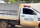 Tragédia em Campo Verde: Jovem perde a vida após descarga elétrica enquanto cortava bambu