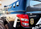 Denúncia de maus-tratos e danos em Sinop: vizinho arremessa pedras contra cachorro e residência