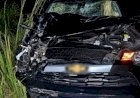 Cavalo é atropelado na MT-206 e passageiro sofre ferimentos leves