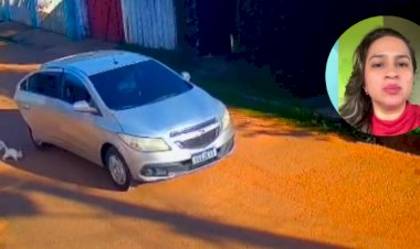 Polícia Civil do Acre Identifica Suspeitos de Atropelamento e Abandono de Gato