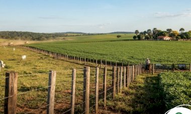 Justiça recebe ação de usucapião de sítio rural de 24 hectares em Figueirópolis D’Oeste