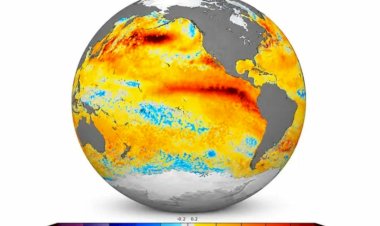 Impactos do El Niño no Clima Brasileiro: O Que Esperar em Cada Região