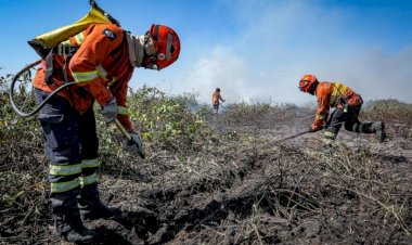Corpo de Bombeiros Combate Incêndios Florestais em Seis Municípios de MT