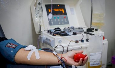 MT Hemocentro divulga calendário de coletas de sangue para setembro