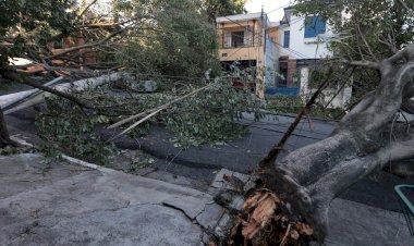 Justiça de SP Identifica Falhas da Enel Durante Apagão de Dezembro de 2025