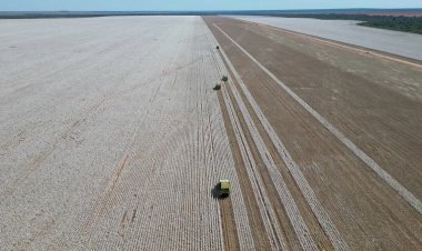 Nortão de Mato Grosso acelera após colheita do algodão e fortalece liderança do estado nas exportações