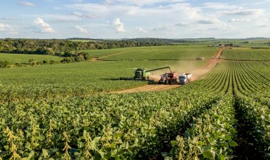 Custos da Soja em Mato Grosso Atingem R$ 8,17 Mil por Hectare na Safra 2026/27