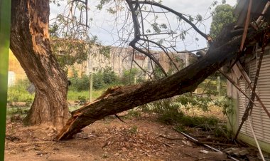 Prefeitura de Cuiabá oferece suporte a enfermeira ferida por queda de árvore e reorganiza serviços da USF Lixeira Baú