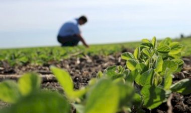 Prefeitura de Barra do Garças Promove Dia de Campo no Assentamento Serra Verde