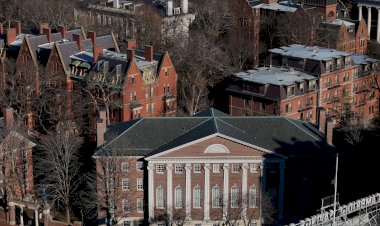 Baiana Conquista Vaga em Seis Universidades Americanas, Incluindo Harvard e Columbia