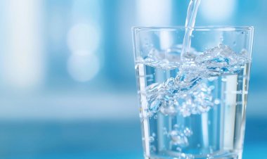 Beber Líquidos Durante as Refeições: Mitos e Verdades Sobre a Digestão