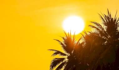 Nova Xavantina Registra 42,2°C e se Torna a Segunda Cidade Mais Quente do Brasil