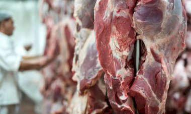 Porto de Chancay no Peru: Nova Rota Potencial para a Carne de Mato Grosso Rumo à Ásia