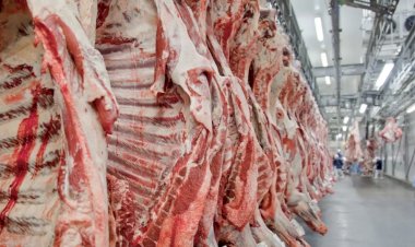 Tarifa da Carne Brasileira Atinge 67% na China Após Esgotamento de Cota