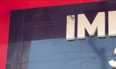Bombeiros utilizam jato de água para conter enxame de vespas em Sorriso