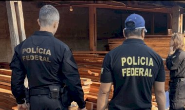 Operação Ligna Ficta: PF Investiga Comércio Ilegal de Madeira Nativa em Mato Grosso