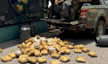 Polícia de Mato Grosso apreende 73 quilos de skunk em operação