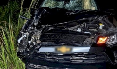 Cavalo é atropelado na MT-206 e passageiro sofre ferimentos leves
