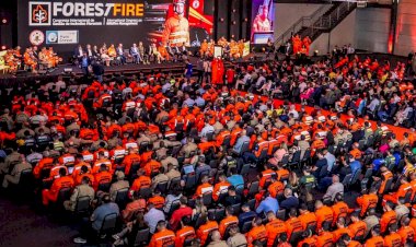 Congresso internacional sobre incêndios florestais deve reunir 5 mil pessoas em Cuiabá