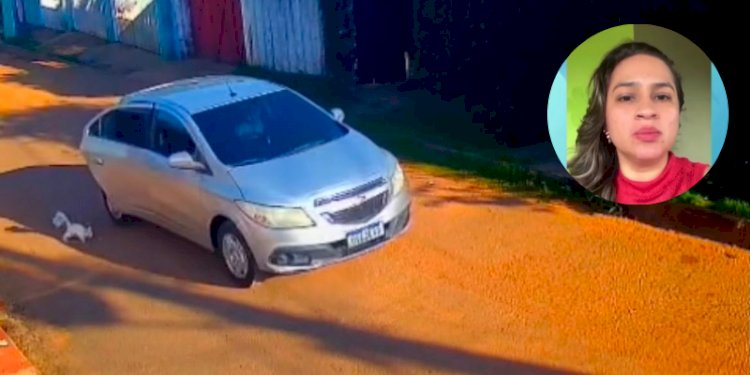 Polícia Civil do Acre Identifica Suspeitos de Atropelamento e Abandono de Gato