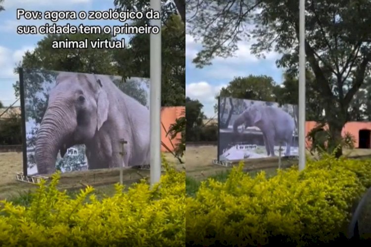 Sandro holograma? Zoológico de Sorocaba instala telão com ‘elefante virtual’ no recinto onde ele viveu por mais de 40 anos