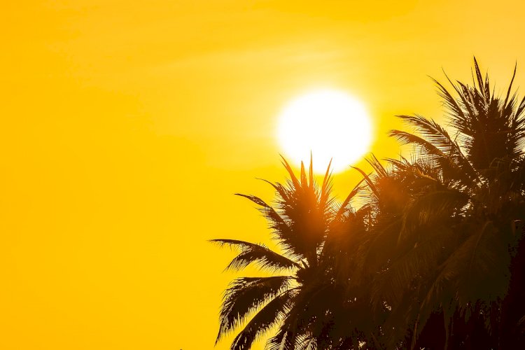 Nova Xavantina Registra 42,2°C e se Torna a Segunda Cidade Mais Quente do Brasil