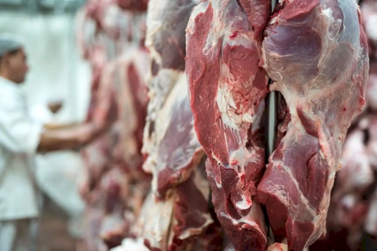 Porto de Chancay no Peru: Nova Rota Logística para Carne de Mato Grosso
