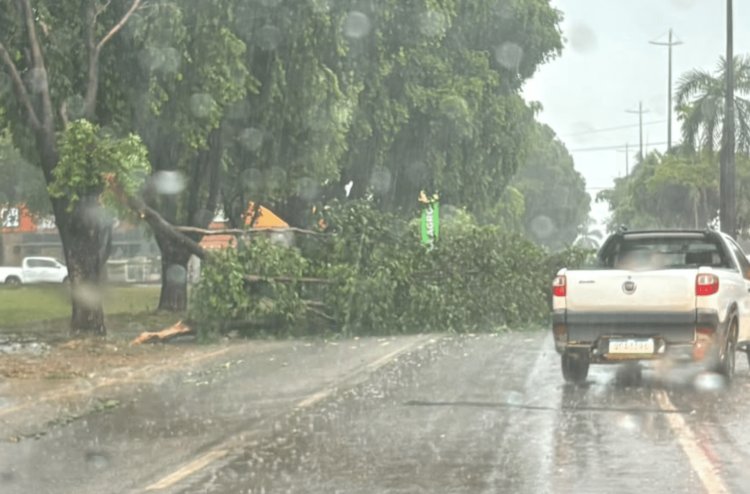 Temporal deixou 19 mil pontos de energia sem luz em Alta Floresta, diz prefeitura