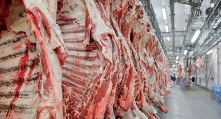 Tarifa da Carne Brasileira Atinge 67% na China Após Esgotamento de Cota
