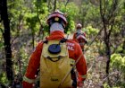 Corpo de Bombeiros extingue três incêndios e combate outros 49 nesta segunda-feira (09)