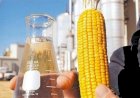 Mato Grosso vai receber mais uma grande usina de etanol de milho
