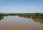 Carteira de pesca amadora continua a ser obrigatória após fim da piracema