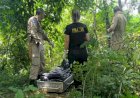 Sobe para 10 o número de corpos encontrados enterrados perto de rio em MT