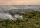 Governo Lula decreta emergência ambiental em Mato Grosso