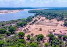 Terra Indígena Parque do Araguaia abriga a maior ilha fluvial do mundo
