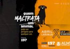 Campanha da ALMT para conscientizar sobre abuso contra animais é destaque em site internacional