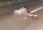 Mulher é encontrada morta após atropelamento na BR-158, entre Nova Xavantina e Barra do Garças