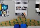 PM prende suspeito com grande quantidade de drogas em rodovia de Campinápolis