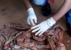 Condenado por tentar matar homem e jogá-lo em cisterna acreditando estar morto em cidade do Araguaia é preso pela PJC