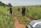 Polícia desarticula grupo que ameaçava moradores e produtores em terra indígena no Araguaia