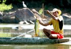 Número de pescadores amadores cresce em MT e SEMA emite quase 10 mil licenças