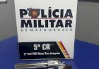 Homem é preso por porte ilegal de arma de fogo em Novo São Joaquim