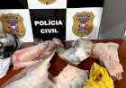 Homem é preso em blitz ao ser flagrado transportando rabos de jacaré e pescados em Canarana