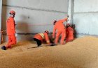 Trabalhador morre soterrado por carga de milho durante descarregamento em MT