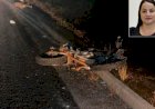 Servidora morre após moto bater em anta em rodovia de MT